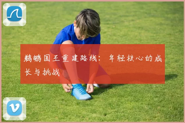 鹈鹕国王重建路线：年轻核心的成长与挑战