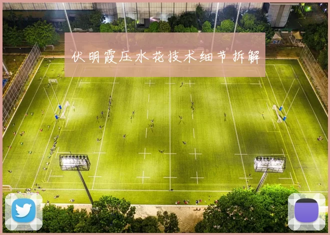 伏明霞压水花技术细节拆解