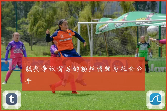 裁判争议背后的粉丝情绪与社会公平