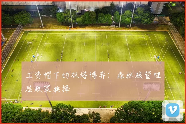 工资帽下的双塔博弈：森林狼管理层政策抉择